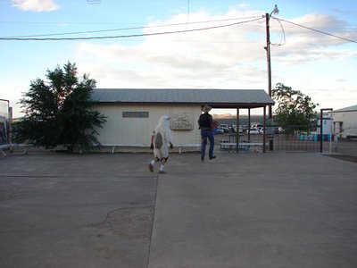 Photo from High Noon In Gloomtown