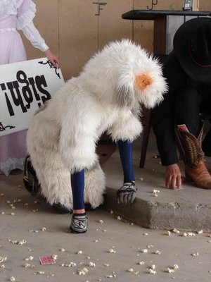 Photo from High Noon In Gloomtown