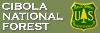 Cibola National
            Forest
